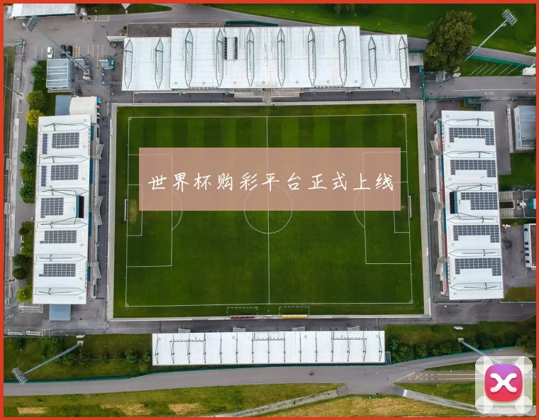 世界杯购彩平台正式上线