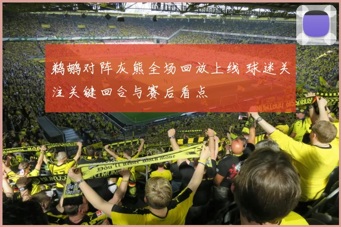 鹈鹕对阵灰熊全场回放上线 球迷关注关键回合与赛后看点